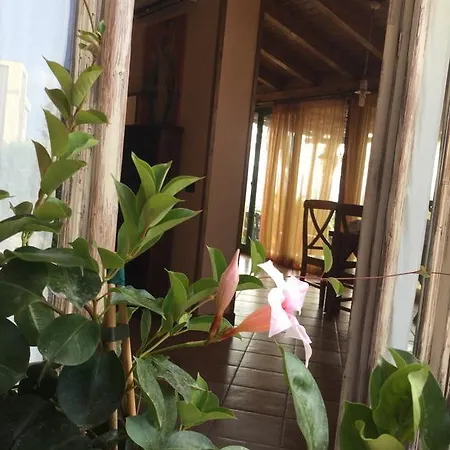 Сasa de vacaciones Colle Dei Rustici
