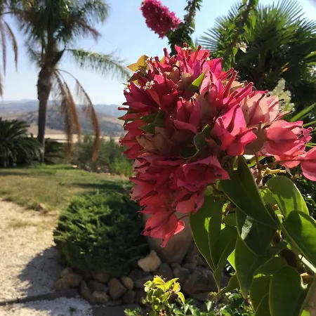 Colle Dei Rustici Agrigento
