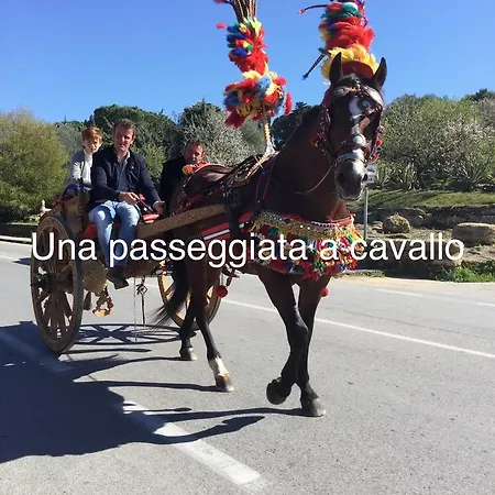 Colle Dei Rustici